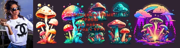 спайс Алагир