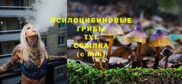 герыч Медвежьегорск