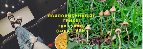 метадон Медногорск