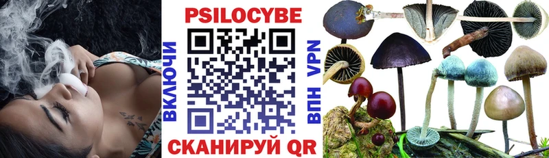 где купить наркоту  Тутаев  Псилоцибиновые грибы Magic Shrooms 