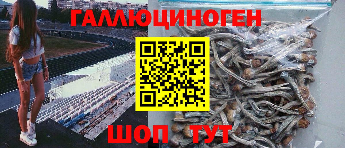 Галлюциногенные грибы прущие грибы Тутаев