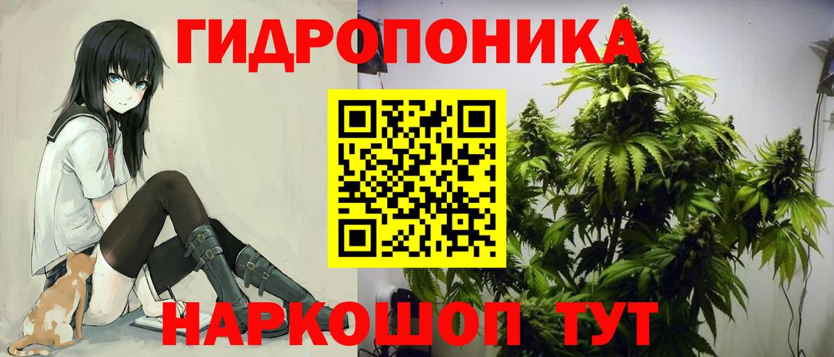 МАРИХУАНА планчик  Конопля конопля  Канабис Amnesia  Тутаев 